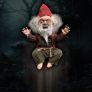 Gnome Attack