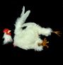 Actor Enhanced Decapitated Prop Chicken
