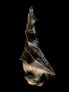 Animated Hanging Bat
