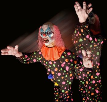 clown peek a boo - CPT407