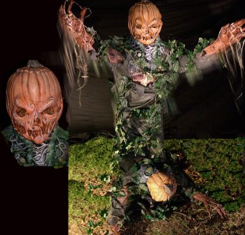 Pumpkin head pop up - PKPU105
