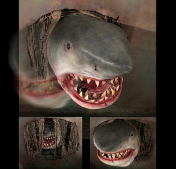 SHARK ATTACK - SA1316