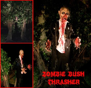 ZOMBIE BUSH THRASHER - ZBT201