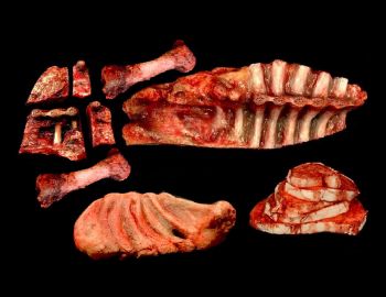 Beef Butcher Bundle