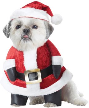 Santa Paws Dog Costume - Pet Medium