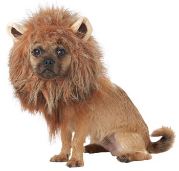 King Of Jungle Dog Costume - Pet Large