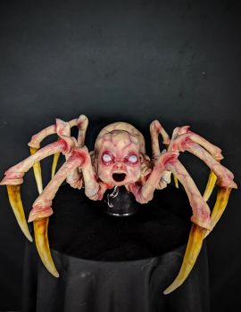 Demon Baby Spider