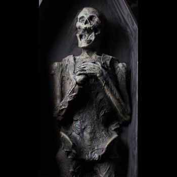 Skeleton corpse prop