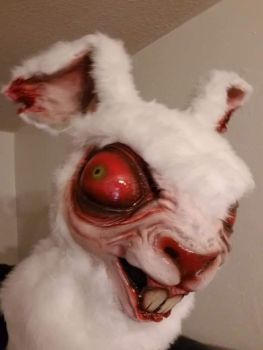 Jack'd Rabbit
