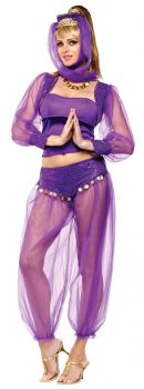 Women's Dreamy Genie Costume - Adult M/L (10 - 14)