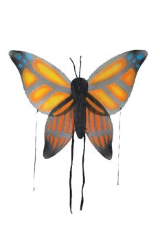 Butterfly Wings - Orange