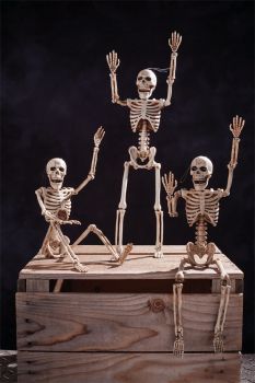 14" Posable Skeleton