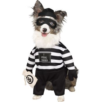 Robber Pup Pet Costume - Pet Large