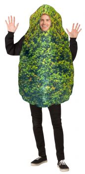 Bush Adult Costume