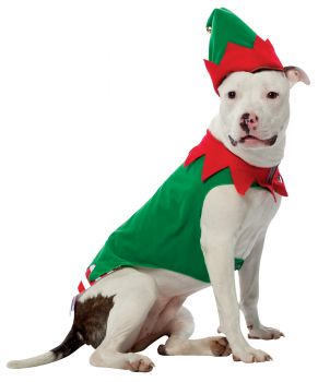 Elf Dog Costume - Pet X-Large