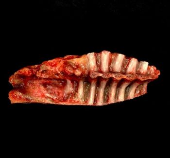 Animal Prop Beef Meat Slab