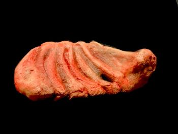 Slab of Beef Prop