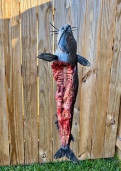 Hanging Catfish Prop