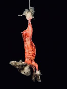 Animal Prop Hanging Skinned Rabbit with Fur