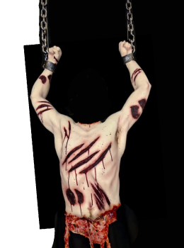 CX Simply Shredded Half Body Photo Op