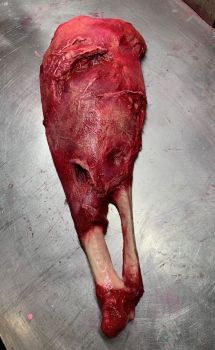 Leg of Lamb Animal Butcher Prop