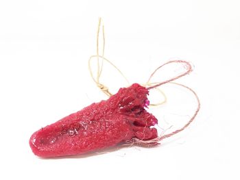 Silicone Tongue Necklace