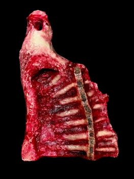 Animal Prop Beef Hind Quarter- Interior Side