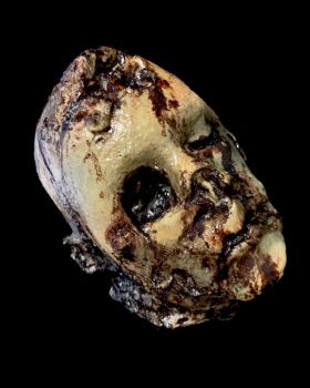 Decomposing Donald Prop Head 