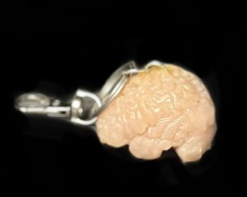 Mini Brain Keychain