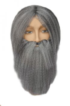 Old Chinese Man Wig - Gray
