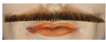 Errol Flynn Mustache - Blend - Light Brown
