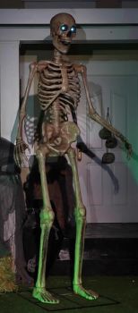 8-Foot Towering Skeleton With Projection Eye