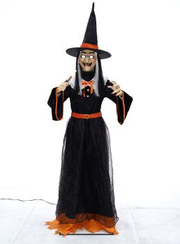 Animated Whimsical Witch