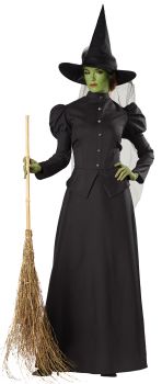 Women's Witch Classic Deluxe Costume - Adult Small