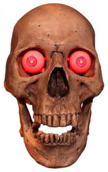 Optional LEDs for Talking Skulls