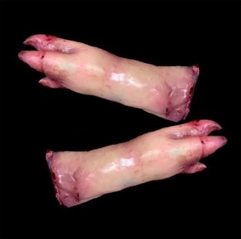 Animal Prop Pig Feet