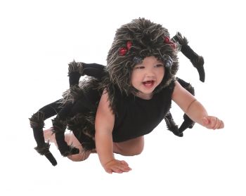 Tarantula Talan - Toddler (12 - 18M)