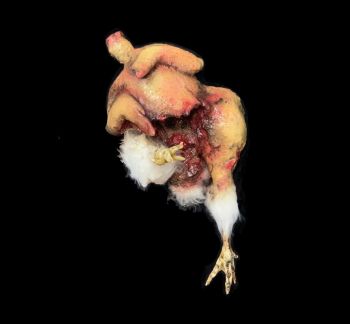 Animal Prop Putrid Chicken