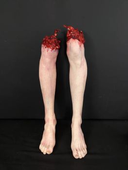 Body Part: Severed Half Leg