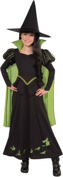 Girl's Wicked Witch Of The West Costume - Wizard Of Oz - Child Large