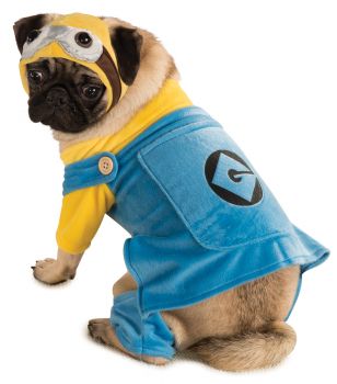 Minion Pet Costume - Despicable Me 2 - Pet L