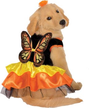 Butterfly Pet Costume - Pet S