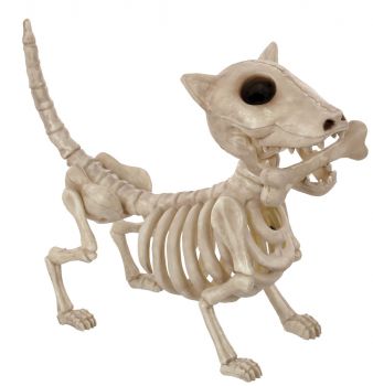 Digger The Skeleton Dog