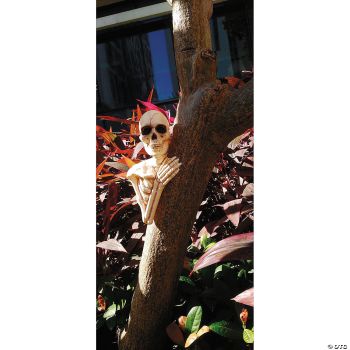 SKELETON TREE PEEKERS