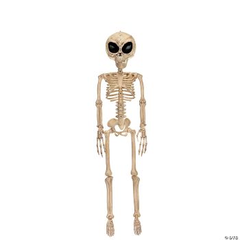 ALIEN SKELETON BONE COLOR 37IN