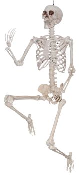 Skeleton Titan 6.6 Foot