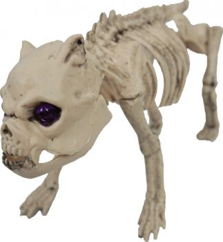 Pug Skeleton