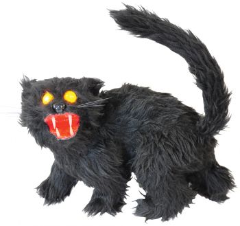 Black Sonic Cat