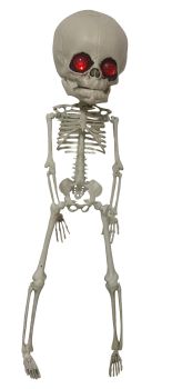 16 In Alien Skeleton