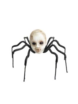 23.5-Inch Baby Head Spider